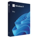 Microsoft Windows 11 Professional BOX USB PL