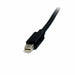 Мини кабел DisplayPort Startech MDISP2M (2 m) 4K Ultra HD