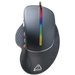 Мишка Canyon CND-SGM12RGB