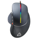 Мишка Canyon CND-SGM12RGB