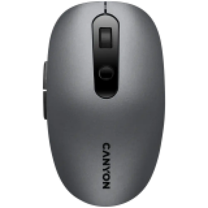 Мишка Canyon CNS-CMSW09DG