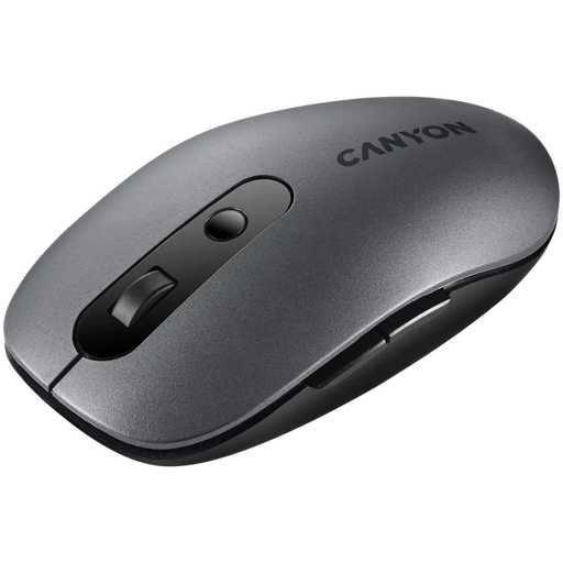 Мишка Canyon CNS-CMSW09DG