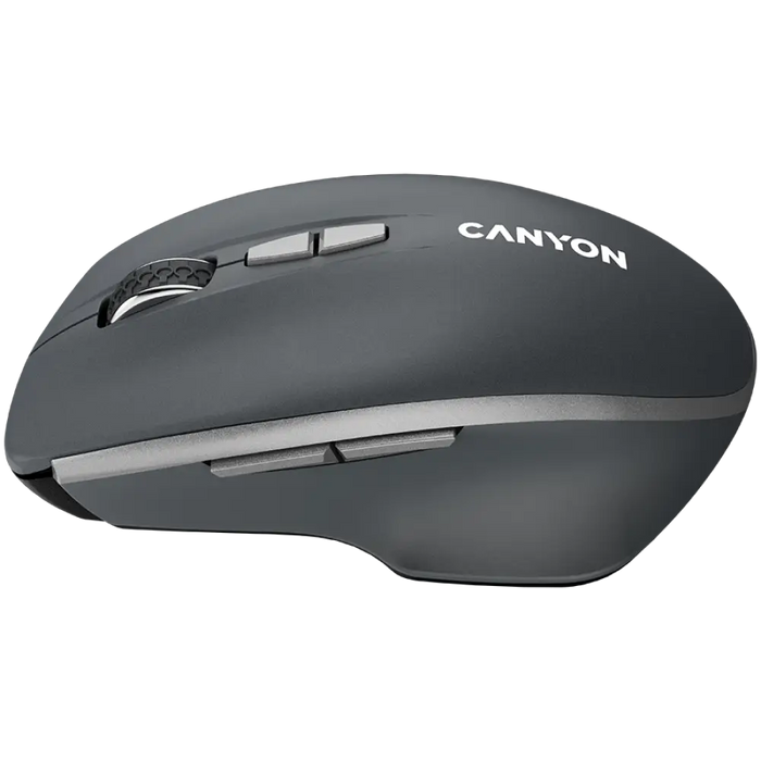 Мишка Canyon CNS-CMSW21DG