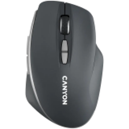 Мишка Canyon CNS-CMSW21DG
