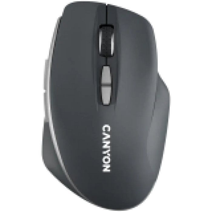 Мишка Canyon CNS-CMSW21DG