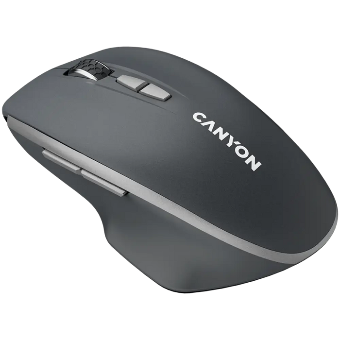 Мишка Canyon CNS-CMSW21DG