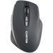 Мишка Canyon CNS-CMSW21DG