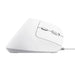 Мишка Trust Bayo II Office с дясна USB оптична 2400 DPI