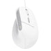 Мишка Trust Bayo II Office с дясна USB оптична 2400 DPI