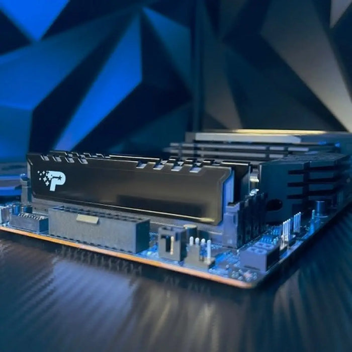 Модул памет PATRIOT SIGNATURE PREMIUM DDR5 24GB 5600MHz 1