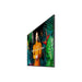Монитор Videowall Samsung QH75C 4K Ultra HD 75’’