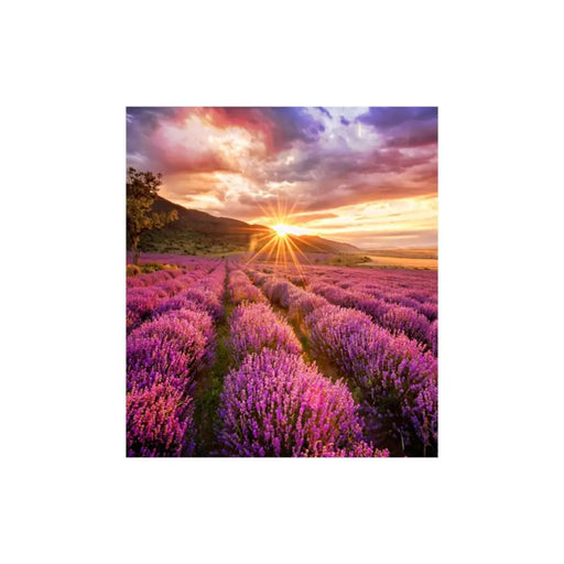 Монитор Videowall Samsung LH025IFHBAS/EN