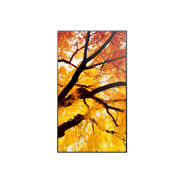 Монитор Videowall Sharp 60006053 4K Ultra HD 42,5’’