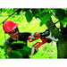 Моторен Трион Black & Decker Alligator GK1000 550 W (15 cm)