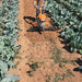 МОТОРНА ФРЕЗА STIHL MH 700.1