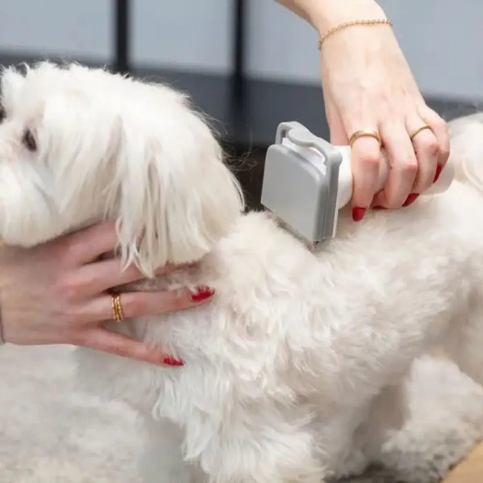 MPM MOD-100 УСТРОЙСТВО ЗА ДОМАШНИ ГРИЖИ ЗА КУЧЕТА И КОТКИ