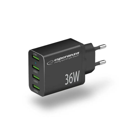 Мрежово зарядно Esperanza EZC107K 36W Черно