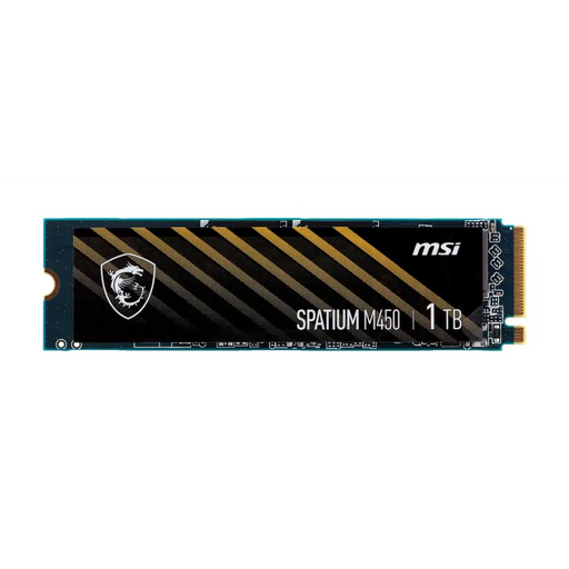 MSI SPATIUM M450 PCIe 4.0 NVMe M.2 1000GB PCI Express 4.0