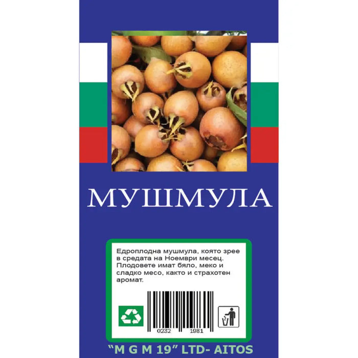 МУШМУЛА С ПАКЕТИРАН КОРЕН