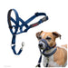 Муцуна Company of Animals COBALT Син 3