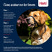 Муцуна Company of Animals COBALT Син 3