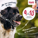 Муцуна Company of Animals COBALT Син Размер 1