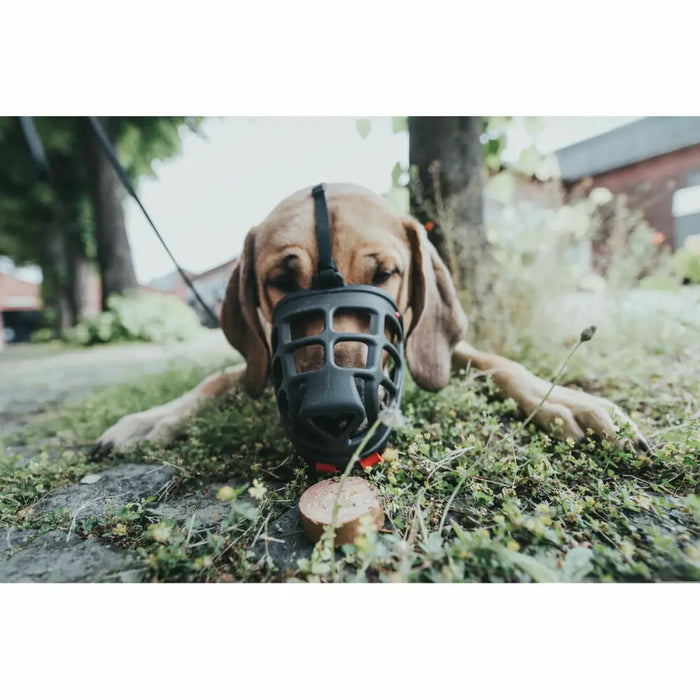 Муцуна Hunter Albury 3 Черен