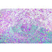 НАДУВАЕМ ФОТЬОЙЛ 114X112X66CM BESTWAY 75115 BESTWAY 75115