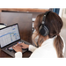 Нашите платинени Bluetooth слушалки Pure Planet