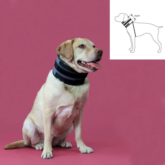 Нашийник за кучета KVP Черен (20-64 cm)