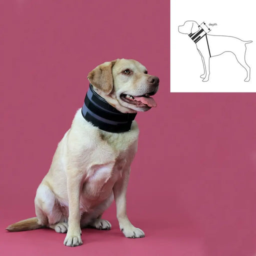 Нашийник за кучета KVP Черен (9-36 cm)
