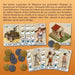 Настолна игра CNMEMORY Les Bâtisseurs: Antiquité (FR) (16