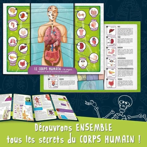 Научна Игра Lisciani Giochi