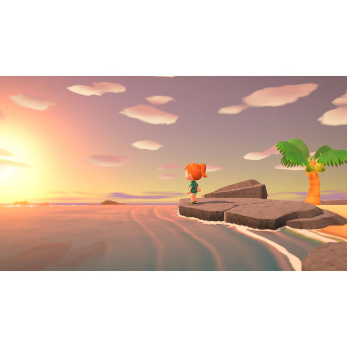 Игра Animal Crossing: New Horizons (NSW)