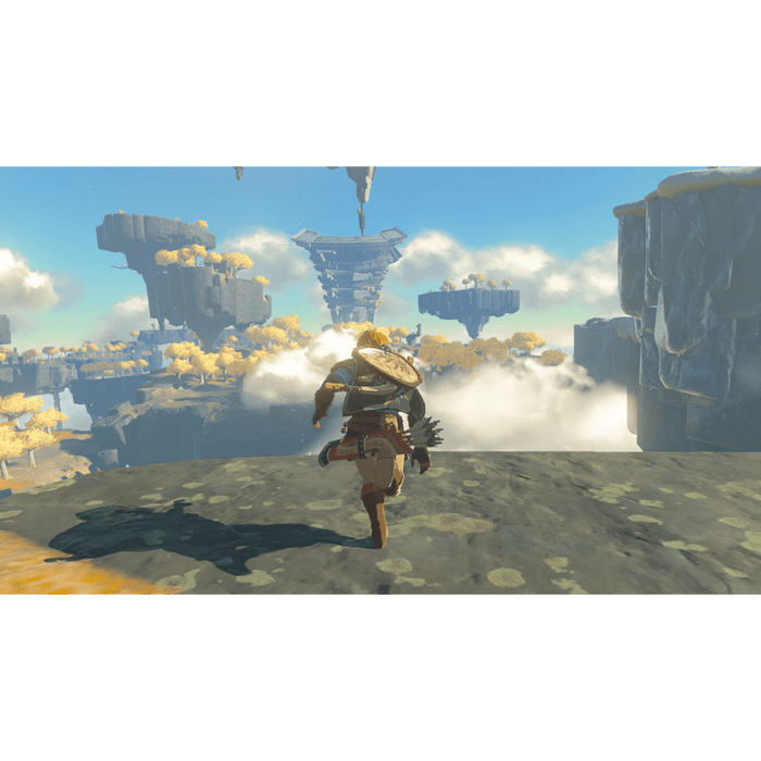 Игра The Legend of Zelda: Tears of the Kingdom (NSW)