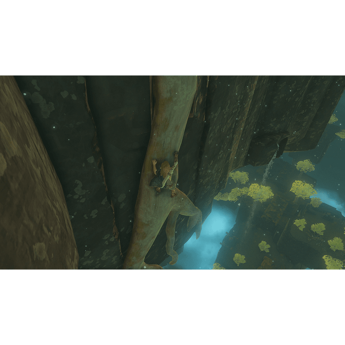 Игра The Legend of Zelda: Tears of the Kingdom (NSW)