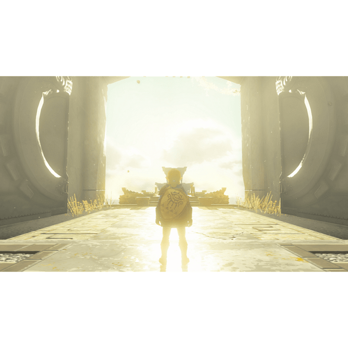 Игра The Legend of Zelda: Tears of the Kingdom (NSW)