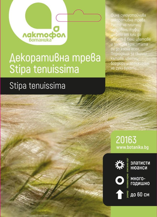 ДЕКОРАТИВНА ТРЕВА ЛАКТОФОЛ STIPA TENUISS