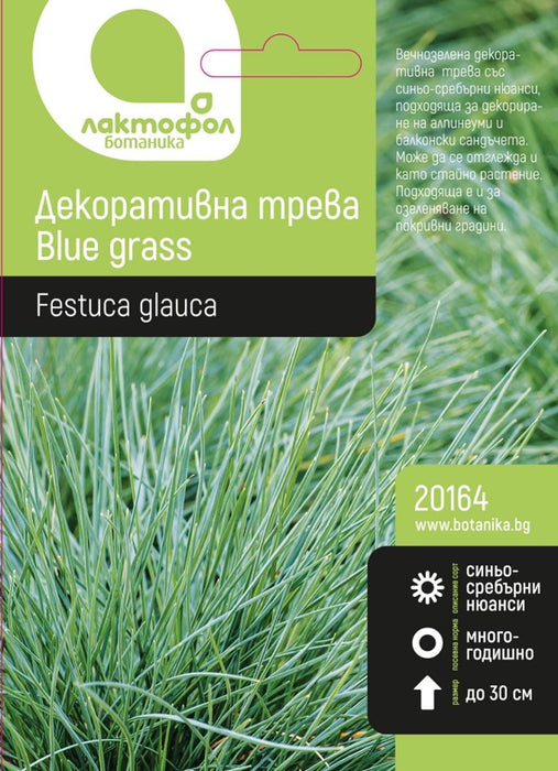 ДЕКОРАТИВНА ТРЕВА ЛАКТОФОЛ BLUE GRASS