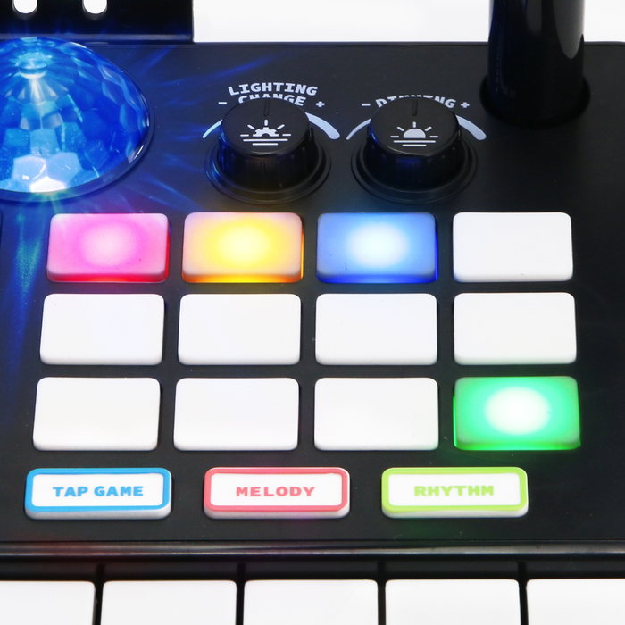 SOUNDZ DJ Пулт с Микрофон