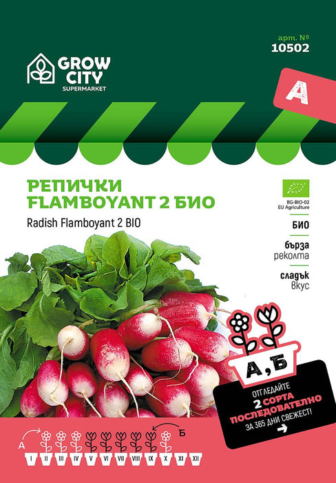 СЕМЕНА РЕПИЧКИ FLAMBOYANT BIO SM