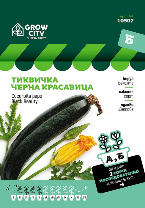 СЕМЕНА ТИКВИЧКА ЧЕРНА КРАСАВИЦА SM