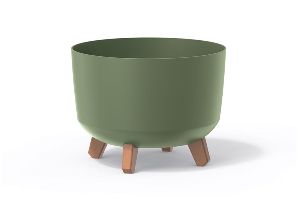 САКСИЯ GRACIA STANDARD 35СМ ЗЕЛЕНА