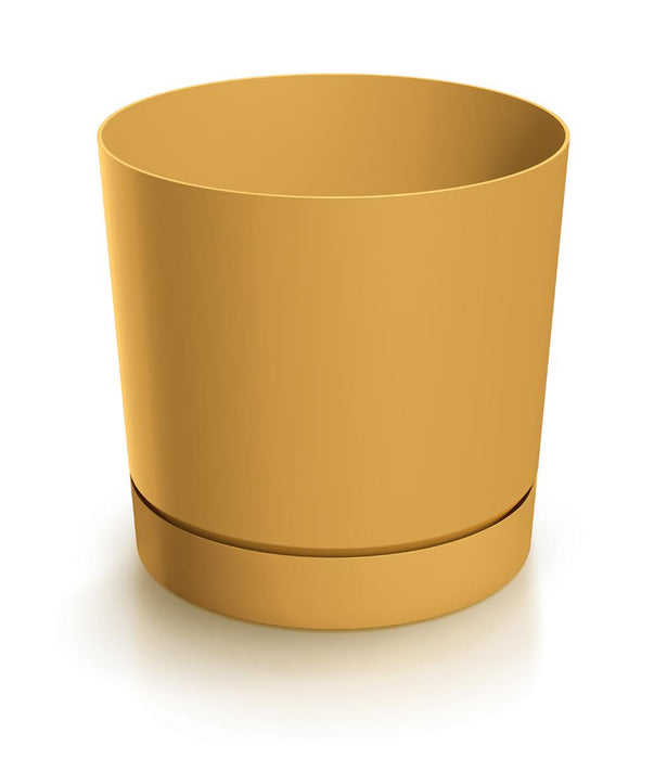 САКСИЯ TUBO P 13СМ ГОРЧИЦА