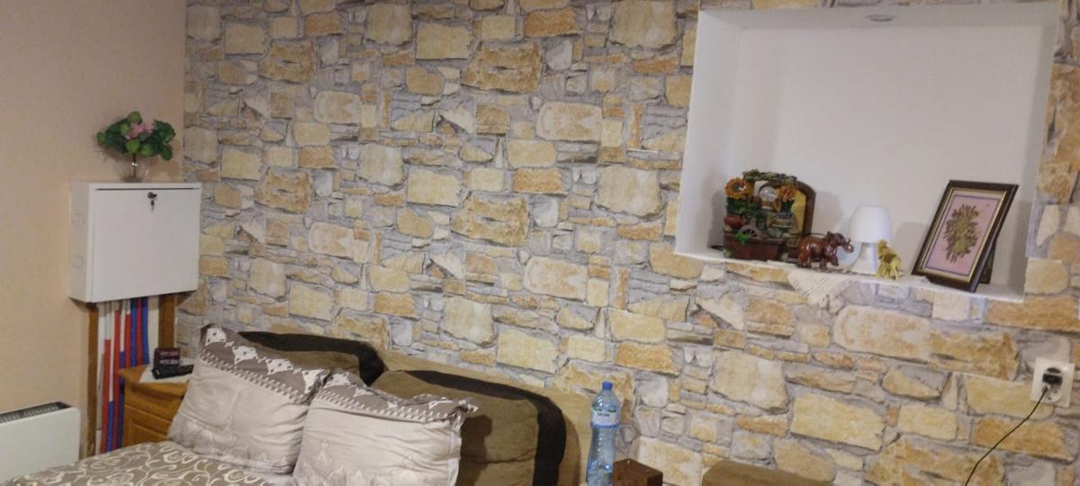 ДЕКОРАТИВЕН СТЕНЕН ПАНЕЛ КАМЪК 100X50X2