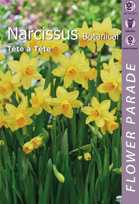 НАРЦИС BOTANICAL TETE A TETE 5 БР