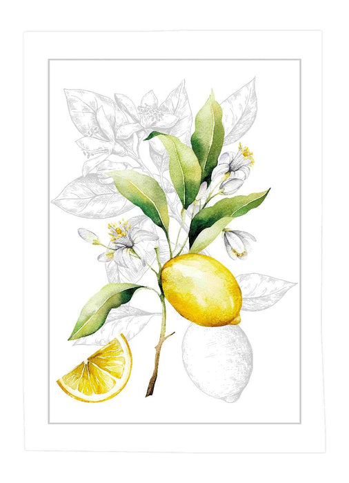 КУХНЕНСКА КЪПРА 50Х70СМ ПАМУК LEMON МИКС