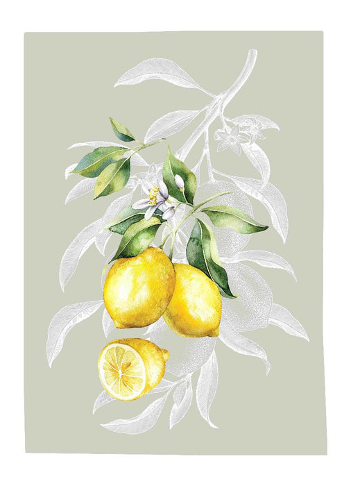 КУХНЕНСКА КЪПРА 50Х70СМ ПАМУК LEMON МИКС