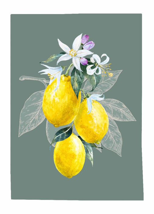 КУХНЕНСКА КЪПРА 50Х70СМ ПАМУК LEMON МИКС