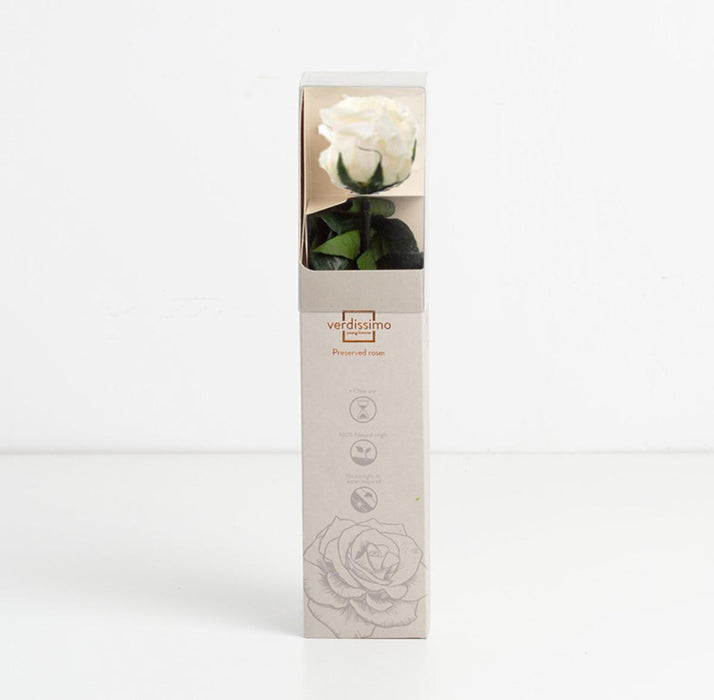 СТАБИЛИЗИРАНА ЕСТЕСТВЕНА РОЗА 26СМ БЯЛА